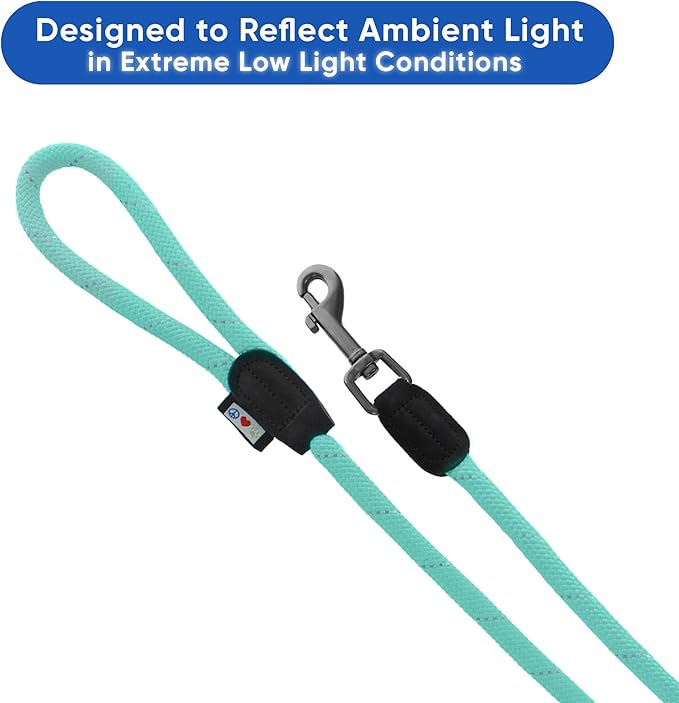 Pawtitas Double Leash for Two Dogs Great for Walking & Training Comfortable Shock Absorbing Reflective Pet Rope Leash for 2 Dogs 6ft - Medium/Large - Teal
