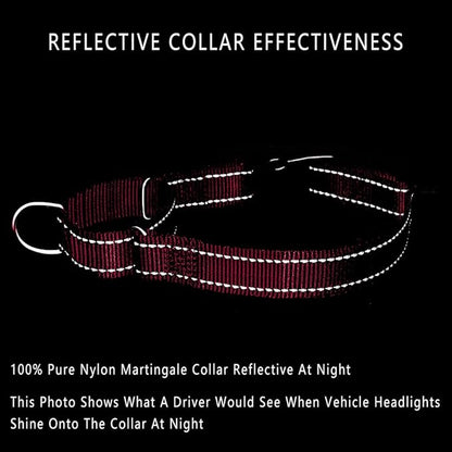 PLUTUS PET Reflective Martingale Collar with Quick Snap Buckle,No Pull Dog Choker Collar for Small Medium Large Dogs,S,Hot Pink