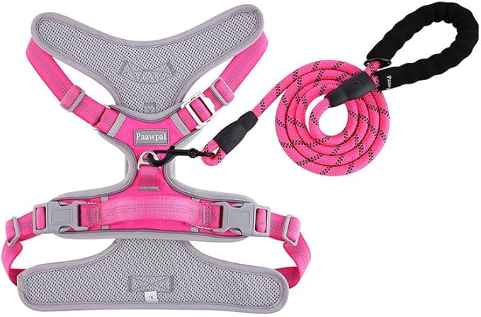 Paawpal Adjustable Dog Harness - No Pull, Reflective, Soft Padded for Small, Medium, Large Dogs - Includes Leash Pink XL