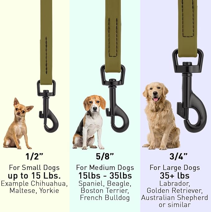 Dogline Biothane Waterproof Dog Leash Strong Coated Nylon Webbing with Black Hardware Odor-Proof Easy to Clean High Performance for Small or Large Dogs Made in USA 4 or 6 ft Lead, Olive Drab Green