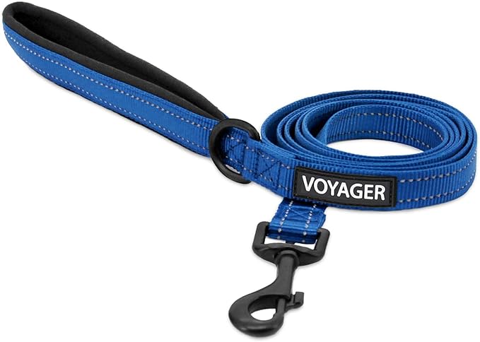 Best Pet Supplies Voyager Reflective Dog Leash or Collar with Neoprene Handle, for Small, Medium, and Large Breed Puppies, Cute and Heavy Duty for Walking, Running and Training - Royal Blue Leash, L