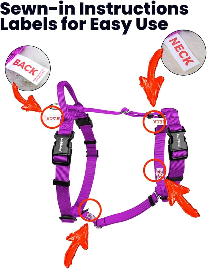 Non Restrictive Dog Harness, Easy Walk Freedom No Pull Harness, Keep Balance, Neck Buckle, 2 Leash Clips for Back/Front Clip, Sewn-in Instructions Labels for Easy Put On/Off (Purple, XLarge)