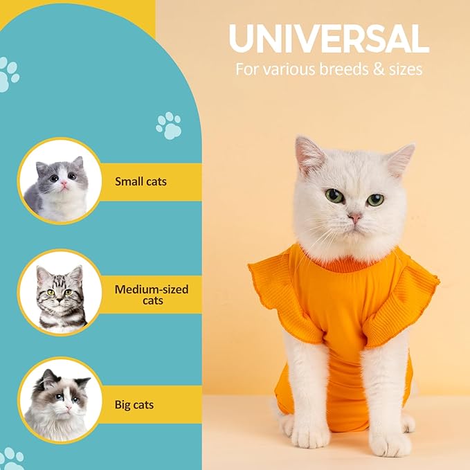 Avont Cat Recovery Suit - Post-Surgery Onesie for Cats, Alternative to Cone of Shame, Protective Spay Suit for Female Kitten, Ideal for Healing and Skin Conditions -Orange(M)
