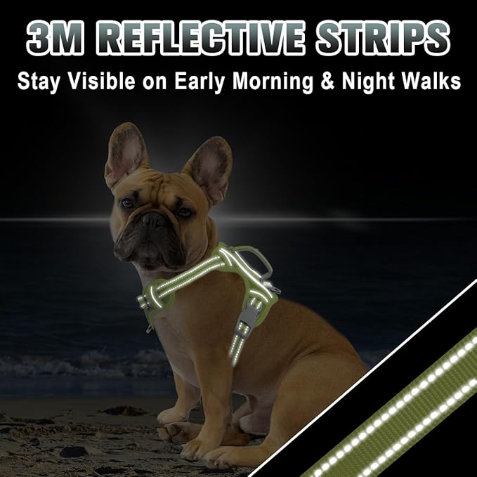 BARKBAY No Pull Dog Harness Large Reflective Dog Harness with Front Clip and Easy Control Handle for Walking Training Running with ID tag Pocket(Sunlight,S)