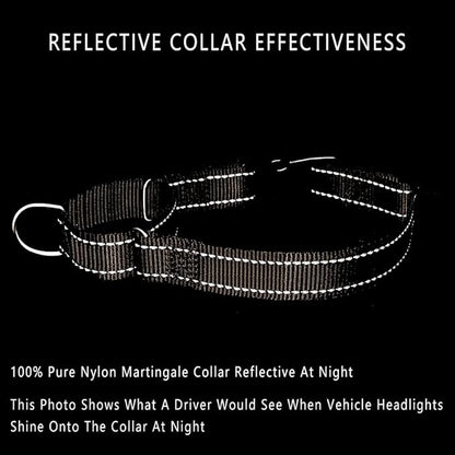 Plutus Pet Reflective Martingale Collar with Buckle - Durable and Adjustable Training Collar for No Pulling, Dog Choker Collar for Small Medium Large Dogs, Beige, M