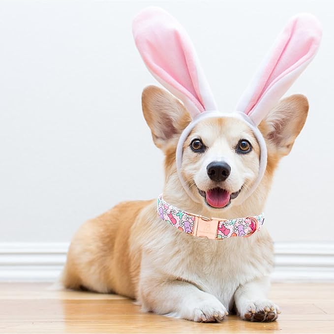 Lionheart glory Easter Dog Collar Colorful Collar for Large Dog Collars Rabbits Print Dog Collars Spring Female or Male Pet Gift Adjustable Heavy-Duty Pet Collar Holiday