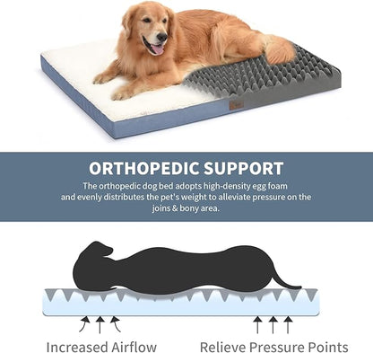 Tail Stories Plush Orthopedic Dog Bed for Medium Dogs & Puppies, Waterproof Dog Beds 30x20 Inch with Removable Washable Cover, Egg Crate Foam Flat Pet Mat, Blue White