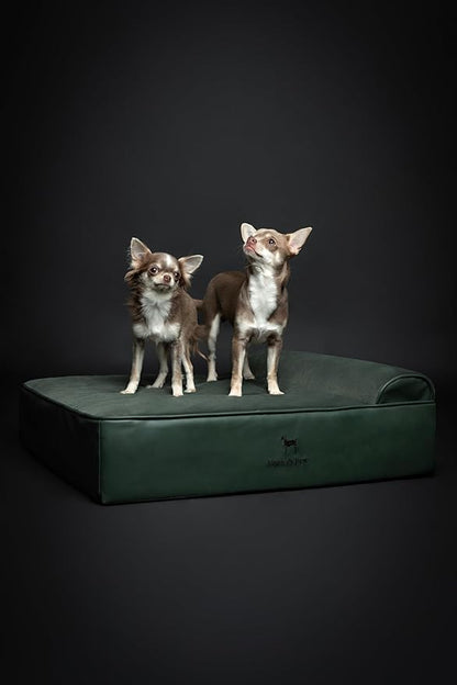 NOAH & PAW Dog Bed, 28x23x7.5 Inch, Orthopedic Dog Beds for Medium Size Pets, Eggshell Memory Foam Infused with Cooling Gel, Waterproof, Machine Washable, Includes Inner Cover (Faux Leather)