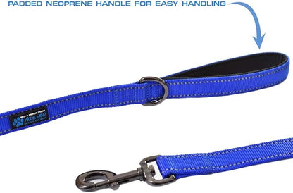 Max and Neo Double Handle Traffic Dog Leash - Reflective, Donates to Dog Rescue (Pink, 4 FT)