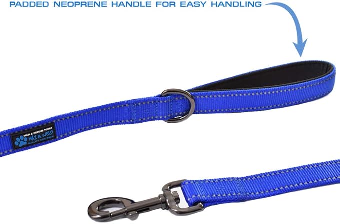 Max and Neo Double Handle Traffic Dog Leash - Reflective, Donates to Dog Rescue (Pink, 6 FT)