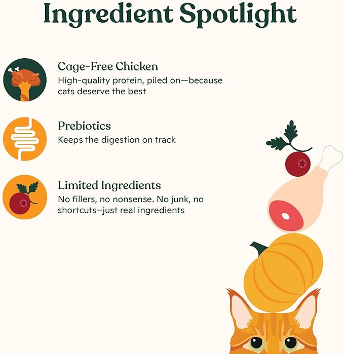 Made by Nacho Bone Broth Cat Food Topper for Hydration and Picky Eaters - Add Protein and Flavor to Your Dry Cat Food – Supports Optimal Nutrition, Digestion, Skin & Coat, 11 oz. (Pack of 4), Chicken