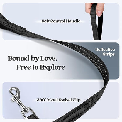 rabbitgoo Dog Harness Small Sized and Leash Set, Step in Soft Light Puppy Vest, Breathable Mesh Pet Harness, Reflective for Safe Easy Walking, Black XXS
