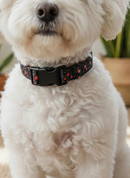 Valentin Dog Collar, Medium Dog Collar with Red Hearts, Pet Collar Boy with Charm and Buckle, Adjustable for Medium Dogs