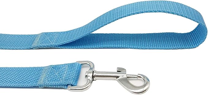 TAIAN 4FT/5FT/6FT Strong Dog Leash, Nylon Dog Leashes for Small Medium Large Dogs (Blue, 1 in x 15 ft)