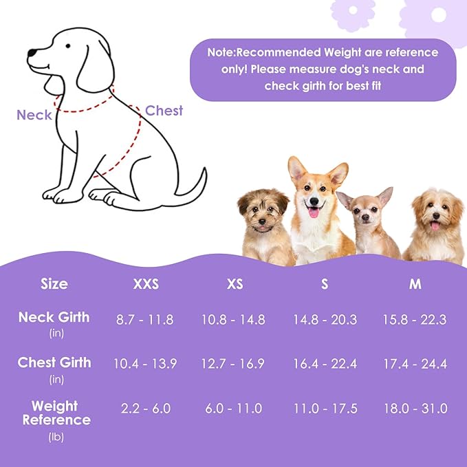 SlowTon Dog Harness Small Sized Dog - Soft XXS Dog Harness and Leash Set No Pull No Chock, Adjustable Lightweight Puppy Harness for XS Small Medium Dogs Cats (Solid Purple, S)