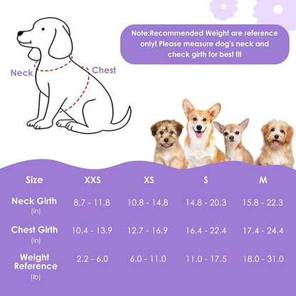 SlowTon Dog Harness Small Sized Dog - Soft XXS Dog Harness and Leash Set No Pull No Chock, Adjustable Lightweight Puppy Harness for XS Small Medium Dogs Cats (Solid Purple, XXS)