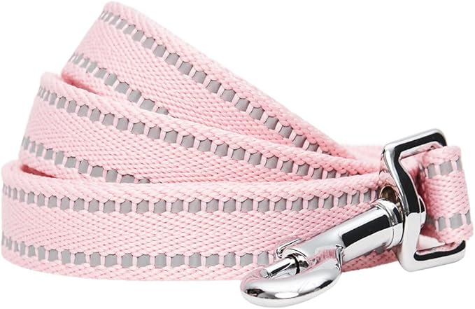 Blueberry Pet Essentials Matching Dog Collar & Leash Set | Pastel Reflective Adjustable Collar with 4 ft Lead for Large Dogs, Baby Pink