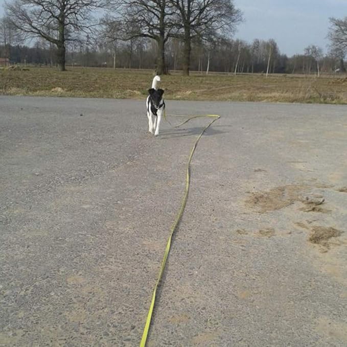 Long Dog Leash Waterproof Recall Training Lead Outdoor Long Line Great for Training, Beach, Play, Camping, or Backyard