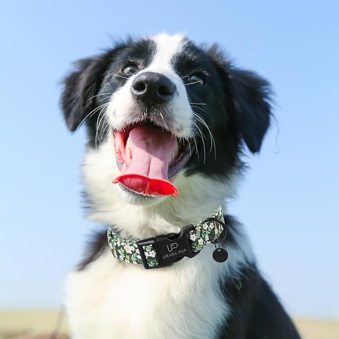 UP URARA PUP Summer Dog Collar, Flower Print Dog Collar with Adjustable Plastic Buckle, Lightweight Cute Pet Collar, Ideal Gift for Boy Girl Dogs