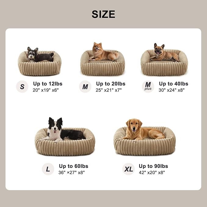 FURTIME Dog Bed for Small Dogs, Washable Orthopedic Dog Bed with Removable Cover, Rectangle Soft Calming Sleeping Puppy Bed Durable Pet Cuddler with Anti-Slip Bottom, Beige, S (20"x19"x6")