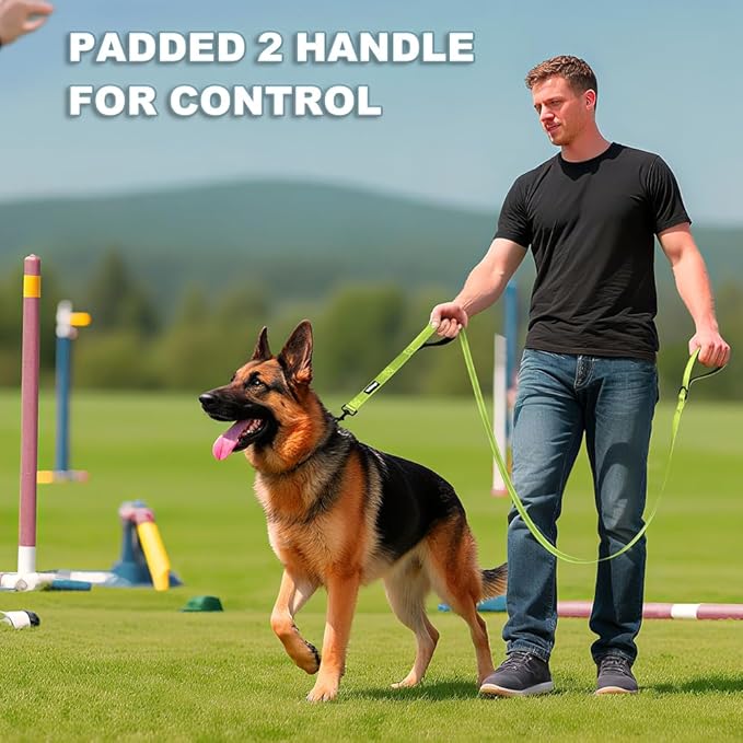 Heavy Duty Double Handle Dog Leash 6 ft Long for Total Control, Padded 2 Handle, Reflective Training Lead for Medium Large Dogs (Green, 6 FT)