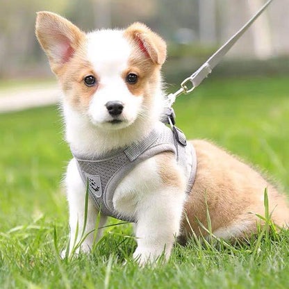 FEimaX Dog Harness and Leash Set for Walking, Soft Mesh Adjustable Easy Control Lightweight Cat Vest Harnesses with Reflective Strips, Escape Proof Small Dogs Cats Vests (Grey, X-Large)