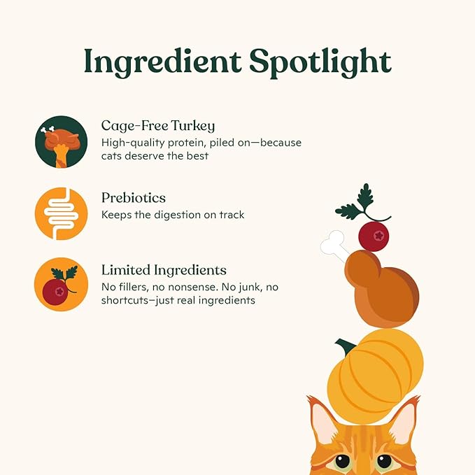 Made by Nacho Bone Broth Cat Food Topper for Hydration and Picky Eaters - Add Protein and Flavor to Your Dry Cat Food – Supports Optimal Nutrition, Digestion, Skin & Coat 11 oz. (Pack of 4), Turkey