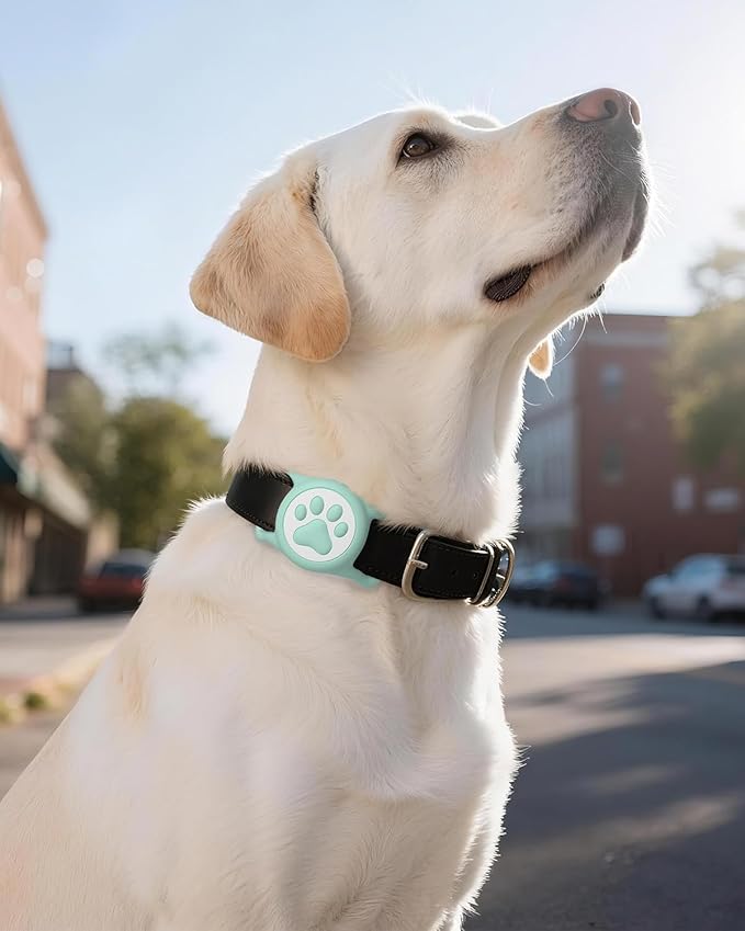 WhoseID IP68 Waterpoof Dog Airtag Holder, Stretchy Silicone Full Body Covered Apple Air Tag Holder for Dog Cat Collar Fit All Width Collar (Green, 1 Pack)
