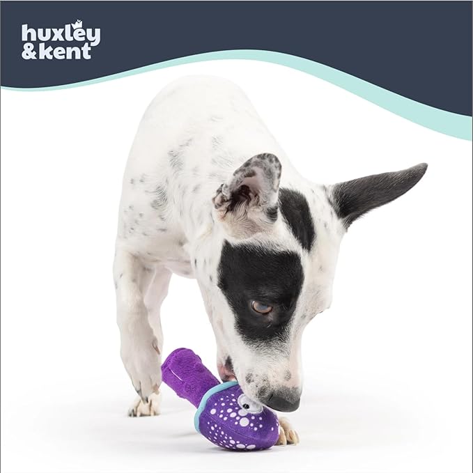 Huxley & Kent Funny Dog Toy w/Squeaker – Power Plush Squeaky Dog Toys for Small Dogs – Durable Small Stuffed Animal for Indoor Play & Fetch - Tiny Tuff Mellow Mushroom