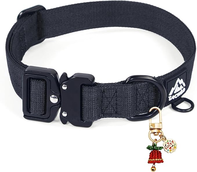 Dog Colla for Small Dogs Christmas Boy Girl - Adjustable, Chew Proof Nylon Collar with Metal Quick Release Buckle and D-Ring for Dog Tags (New York Afterlight, S)(not Included The Pendant)