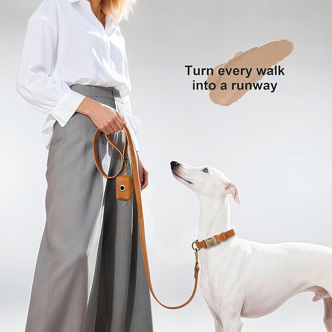 Didog Stylish PU Leather Dog Leash for Medium Dogs, Easy to Clean 5ft Dog Leashes for Large Dogs, Fashionable and Elegant for Walking, Running and Training,Light Brown, M
