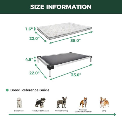 FXW TitanNest Chew-Proof Elevated Dog Bed, Raised Cot for Indoor/Outdoor/Camping Use, Durable & Washable Padded Pet Bed with Exclusive Cover for Small Dogs, 35.0" L x 22.0" W x 4.5" H, Gray