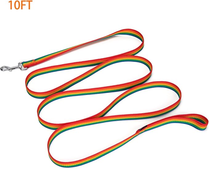 Siumouhoi Strong Durable Nylon Dog Training Leash, 1 Inch Wide Traction Rope, 6 ft 10ft 15ft Long, for Small and Medium Dog (Rainbow, 10 Feet)