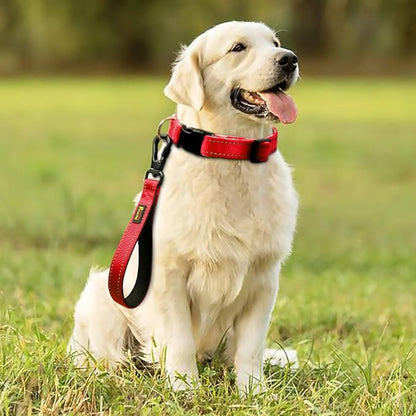 PLUTUS PET 10” Short Dog Leash, Reflective Nylon Padded Handle, Strong Traffic Leash with Carabiner Clip, Perfect for Large or Medium Dogs（10”，Red