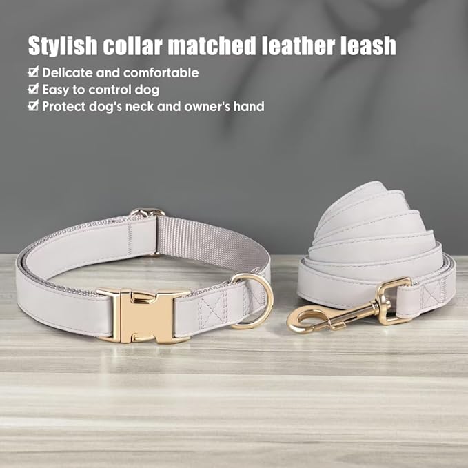 PET ARTIST Soft PU Leather Dog Collar and Leash Set, Bright & Stylish 5FT PU Leather Leash and Collar Set, Durable Pet Collars with Quick Release Metal Buckle for Small Dogs,Gray,S(9"-14")