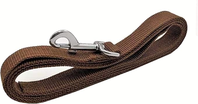 TAIAN 4FT/5FT/6FT Strong Dog Leash, Nylon Dog Leashes for Small Medium Large Dogs (1 in x 6 ft, Brown)