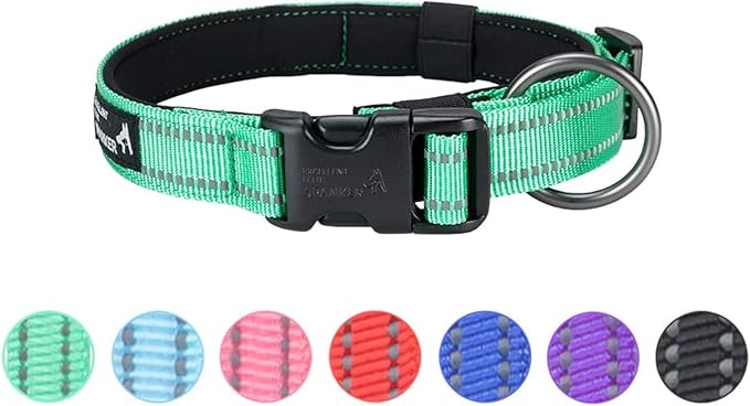 EXCELLENT ELITE SPANKER Reflective Dog Collar Classic Soft Padded Breathable Nylon Adjustable Pet Collar with Quick Release Buckle for Boy Girl Male Female Puppies Small Medium Large Dogs(Green-M)