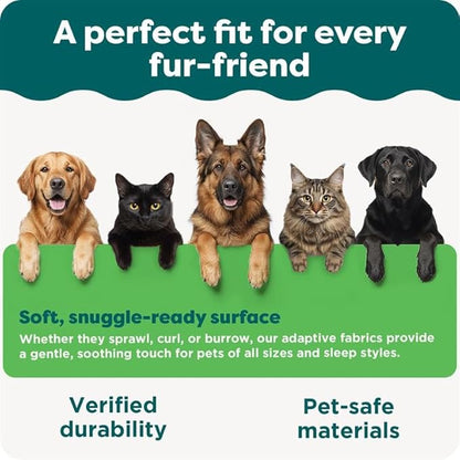 Furhaven Orthopedic Dog Bed for Large/Medium Dogs w/ Removable Bolsters & Washable Cover, For Dogs Up to 55 lbs - Faux Fur & Velvet Sofa - Dark Sage, Large