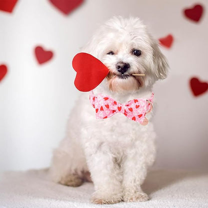 Valentine’s Day Dog Collar with Bow Tie, Red Heart Bowtie Collar with Metal Buckle, Valentine’s Day Gift Pet Collar for Puppy Girl Boy Dog or Cat, Wedding Dog Collar, L, Neck 16-24in