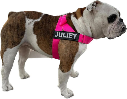 BULLHUG Adjustable Dog Harness– No Pull, No Choke – for English Bulldogs, French Bulldogs, Pugs & Broad-Chested Breeds – Easy, Safe Walks (NEON Pink, Medium)