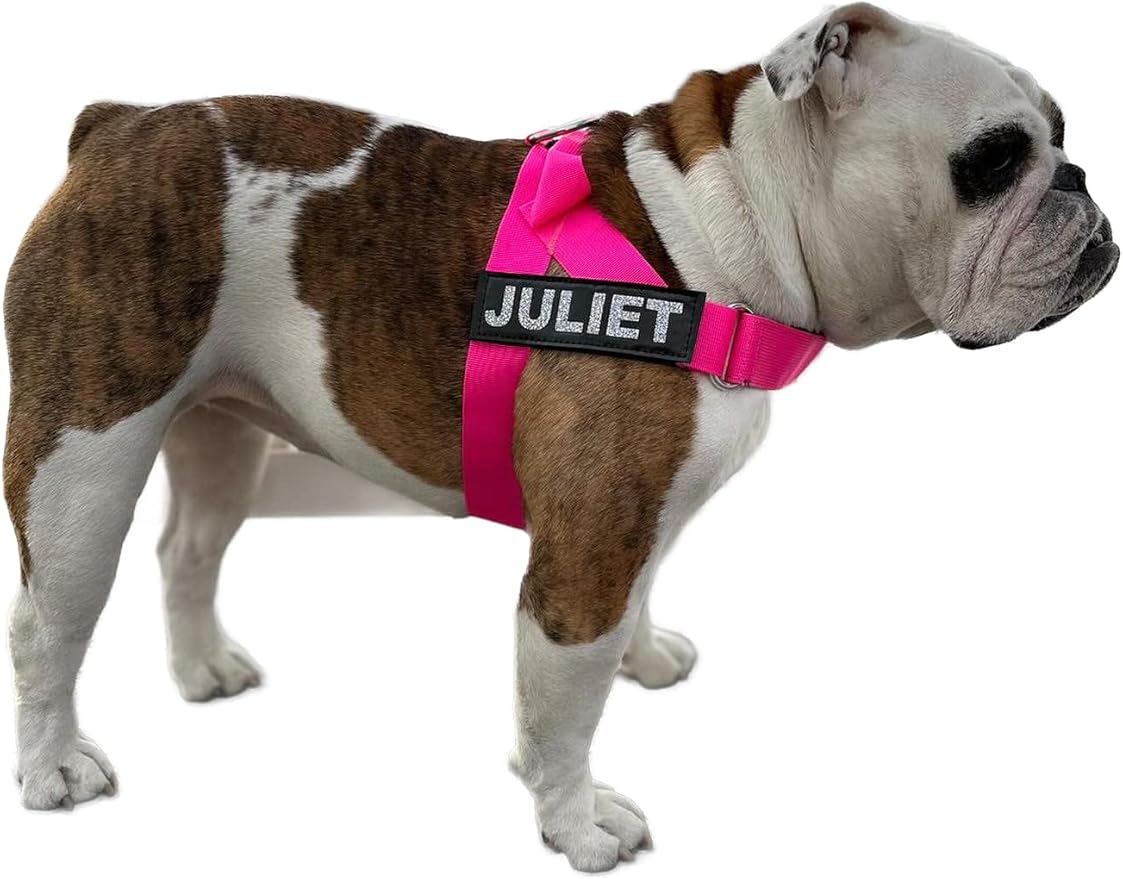 BULLHUG Adjustable Dog Harness– No Pull, No Choke – for English Bulldogs, French Bulldogs, Pugs & Broad-Chested Breeds – Easy, Safe Walks (NEON Pink, Small)