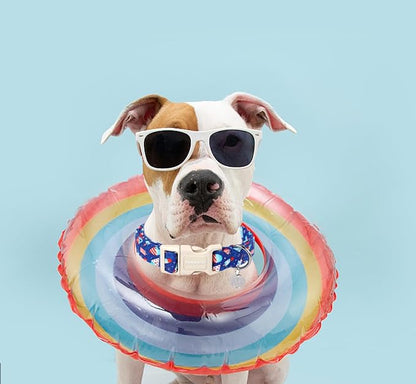 DOGWONG Cotton Dog Collar, Popcile Summer Dog Collar Durable Soft Natural Fabric Pet Dog Collar Cute Blue Ice Cream Puppy Necklace for Small Medium Large Dogs