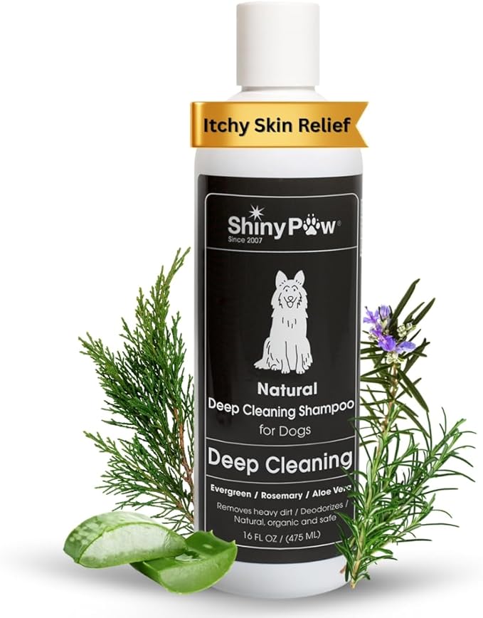 Shiny Paw Natural Deep Cleaning Organic Dog Shampoo 16 oz | Dog Itching Skin Relief with Evergreen, Aloe & Rosemary | Natural Dog Shampoo for Smelly Dogs