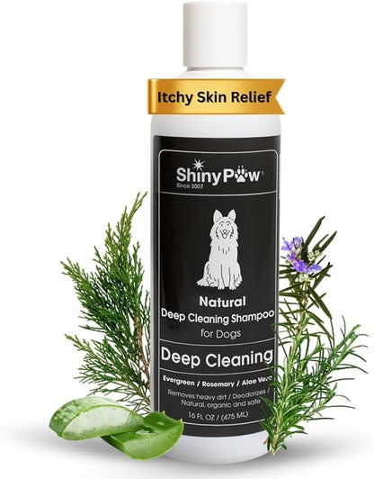 Shiny Paw Natural Deep Cleaning Organic Dog Shampoo 16 oz | Dog Itching Skin Relief with Evergreen, Aloe & Rosemary | Natural Dog Shampoo for Smelly Dogs