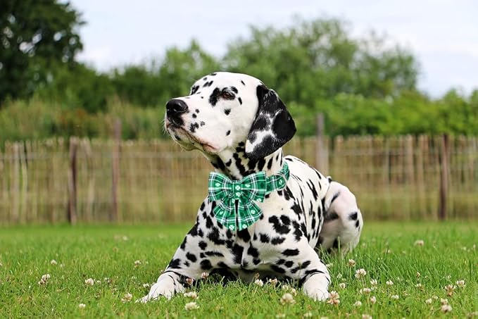 Lionet Paws St Patricks Day Dog Collar with Bowtie, Irish Green Shamrock Clover Sailor Bow Collar with Metal Buckle for Dogs, Adjustable Cute Dog Collar Girl, M, Neck 13.5-22 in