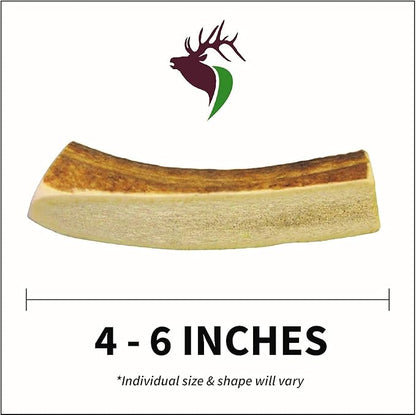 Elkhorn Premium Chews - Small Split Twin Pack (for 0-20 lb Dogs and Puppies) Premium Grade Elk Antlers for Dogs (2 Pieces) Sourced in The USA