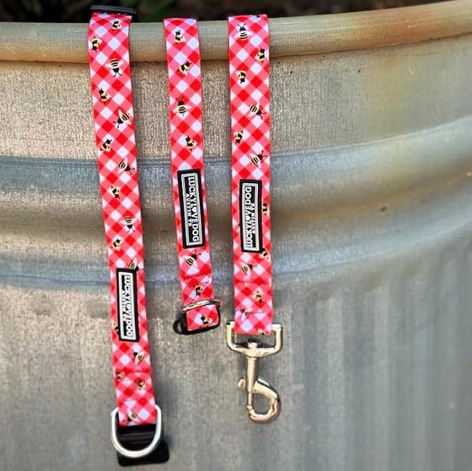 Lucky Love Dog - Easy Click Buckle Dog Collar with Leash Set Combo, Durable & Comfortable for Male & Female Dogs, Pet Collar for Small Dogs, Secure Fit - Bailey Combo, Small