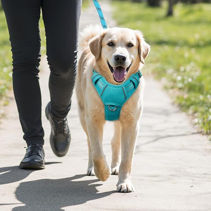 BARKBAY No Pull Dog Harness Large Reflective Dog Harness with Front Clip and Easy Control Handle for Walking Training Running with ID tag Pocket(Ocean Blue,L)