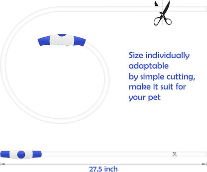 Light up Dog Collar, BSEEN USB Rechargeable Flash Dog Necklace Light, Pet Safety Collar Makes Your Beloved Dogs Be Seen at Night for Small Medium Large Dogs(Blue)