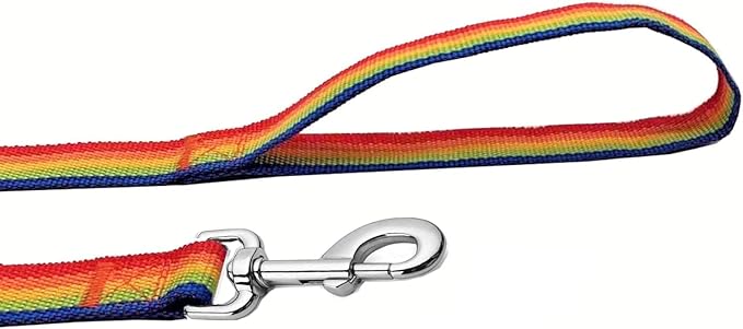 Strong Nylon Dog Leash, 4FT/ 5 FT/ 6FT Dog Leashes for Small Medium Dogs
